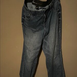 Lane Bryant Dark Blue Denim Pants 16 petite